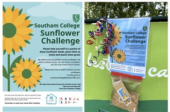 Southam Sunflower Challenge