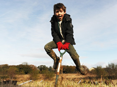 Free trees for schools Woodland Trust